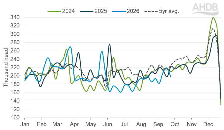Number of lambs coming through to slaughter, running bellow last years levels on the whole.